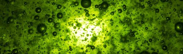 Washing up liquid photography