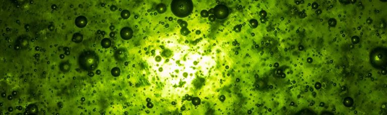 Washing up liquid photography