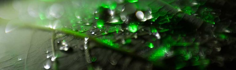 Water on a leaf with adaptalux