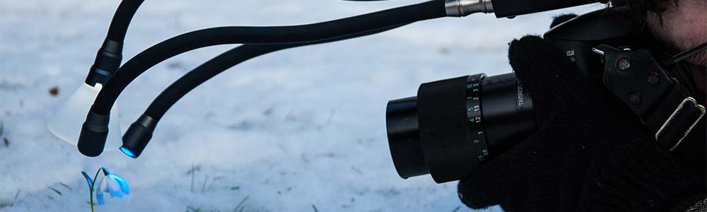 Adaptalux Photo Competition