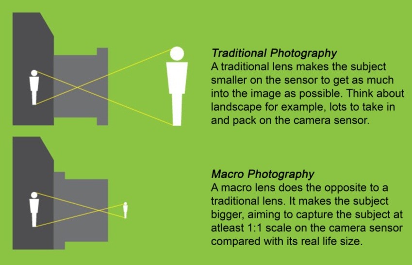 How Macro Lenses Work