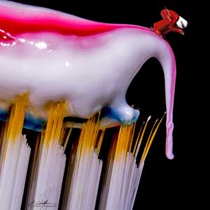 Macro photography ideas Toothbrush