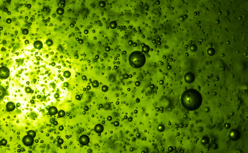 Bubbles Macro