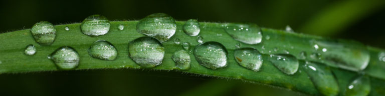 what does a macro lens do?