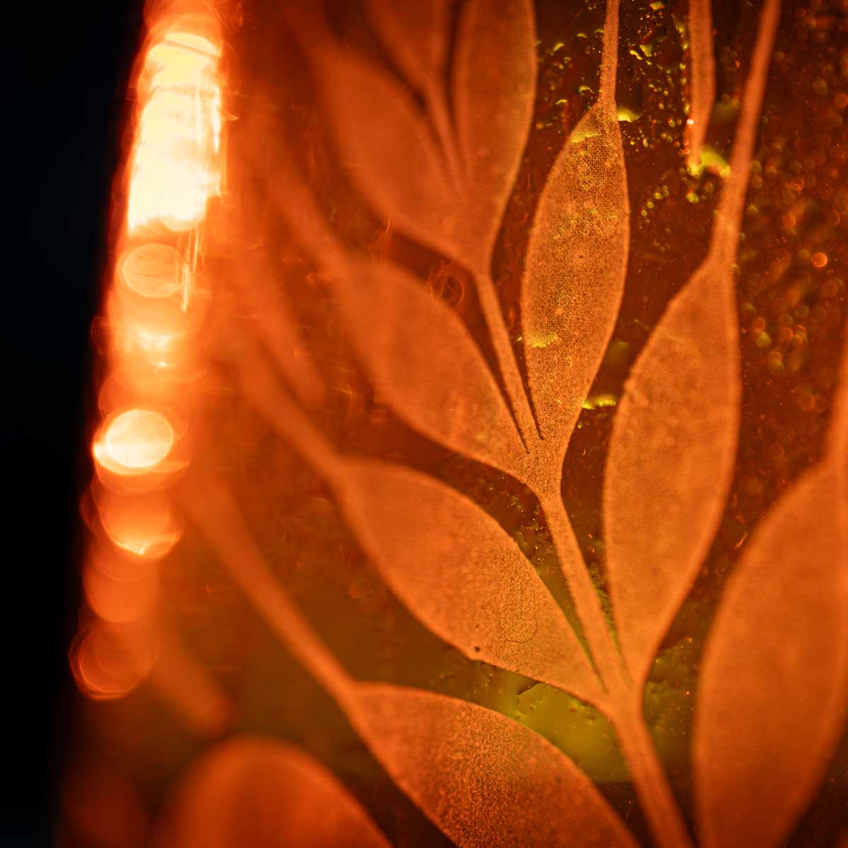 Portable LED lighting for photography Adaptalux Ultimate Pack