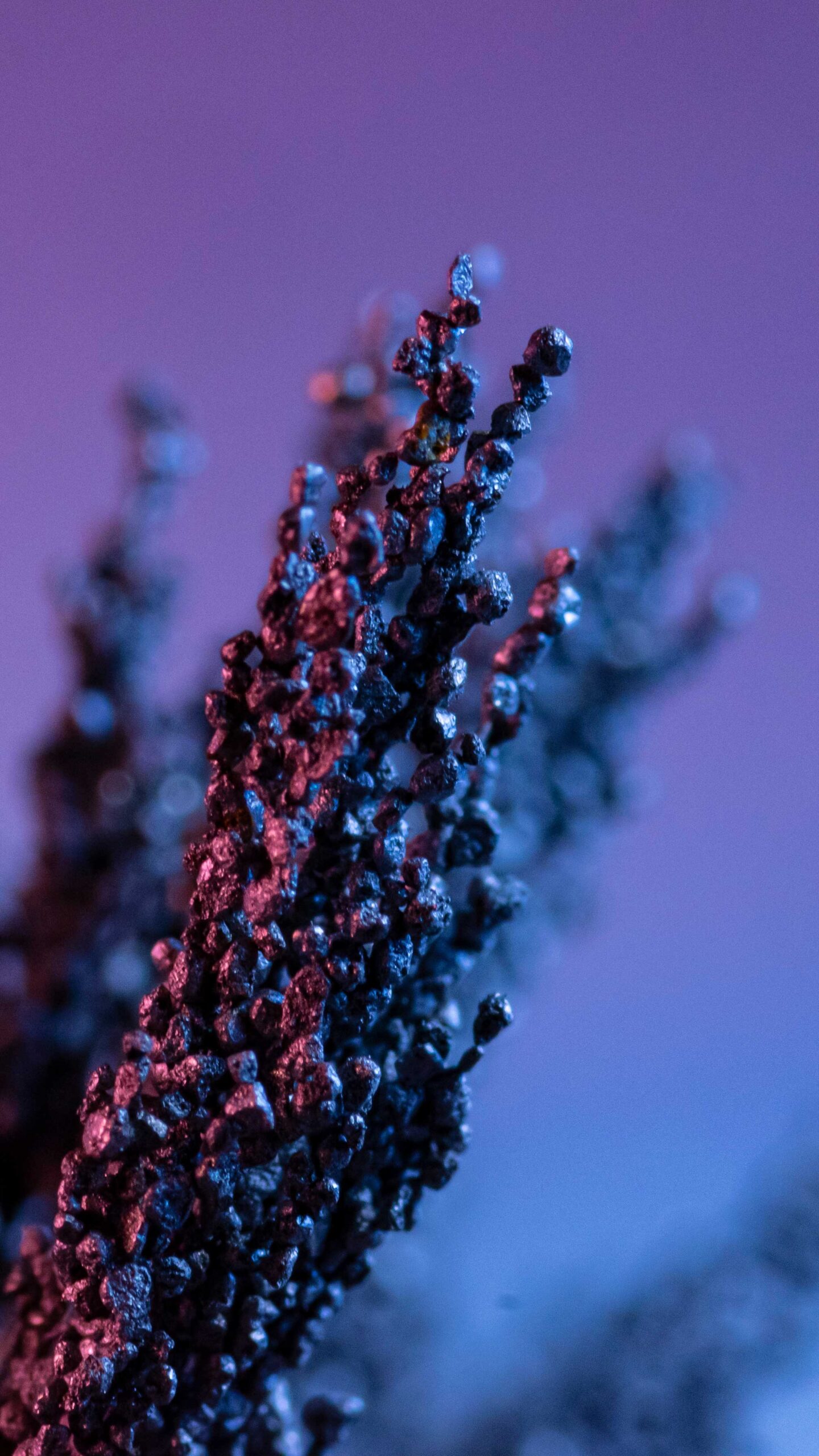 Iron Filings macro photography lighting Iron Filings macro photography lighting