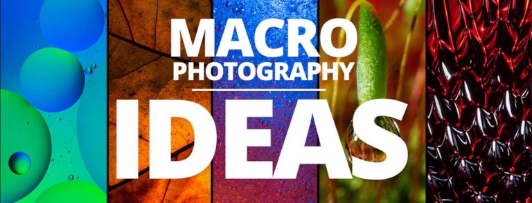 Macro Photography subject ideas