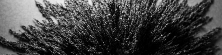 shooting macro video and images of iron filings