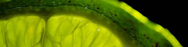 Fruit Macro Photography tutorial