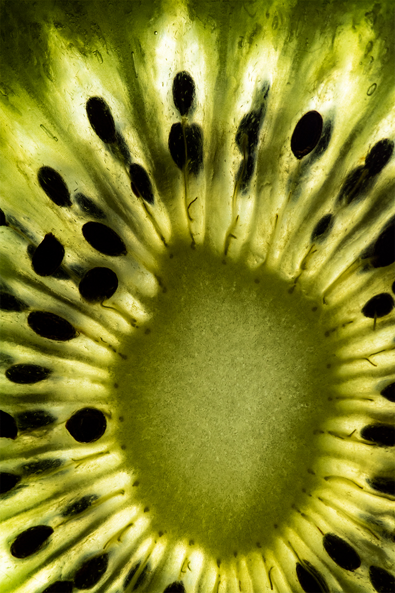 Kiwi Fruit Macro Photography