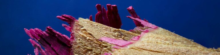 coloured pencil macro photography banner