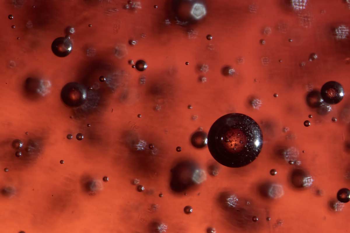 How to Photograph Macro Bubbles