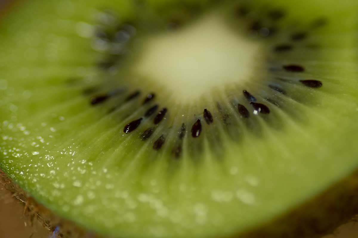 Kiwi macro photography