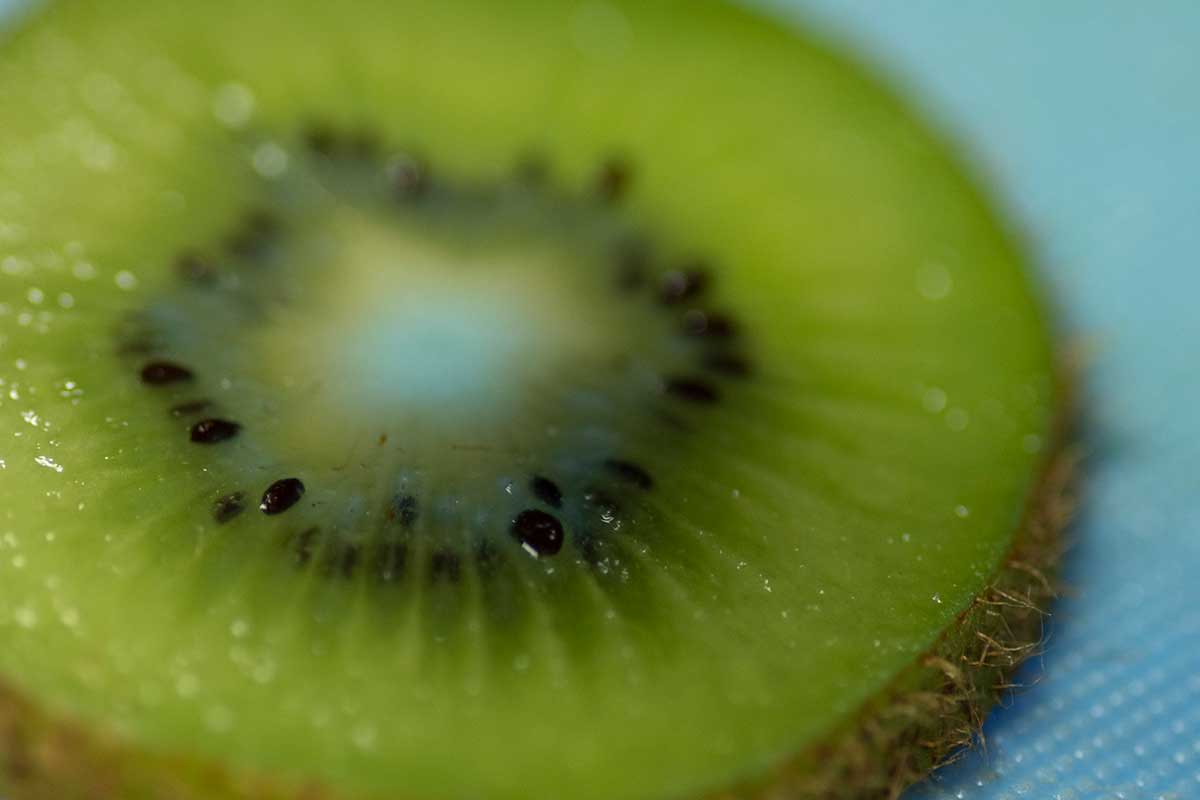 kiwi glowing under uv light