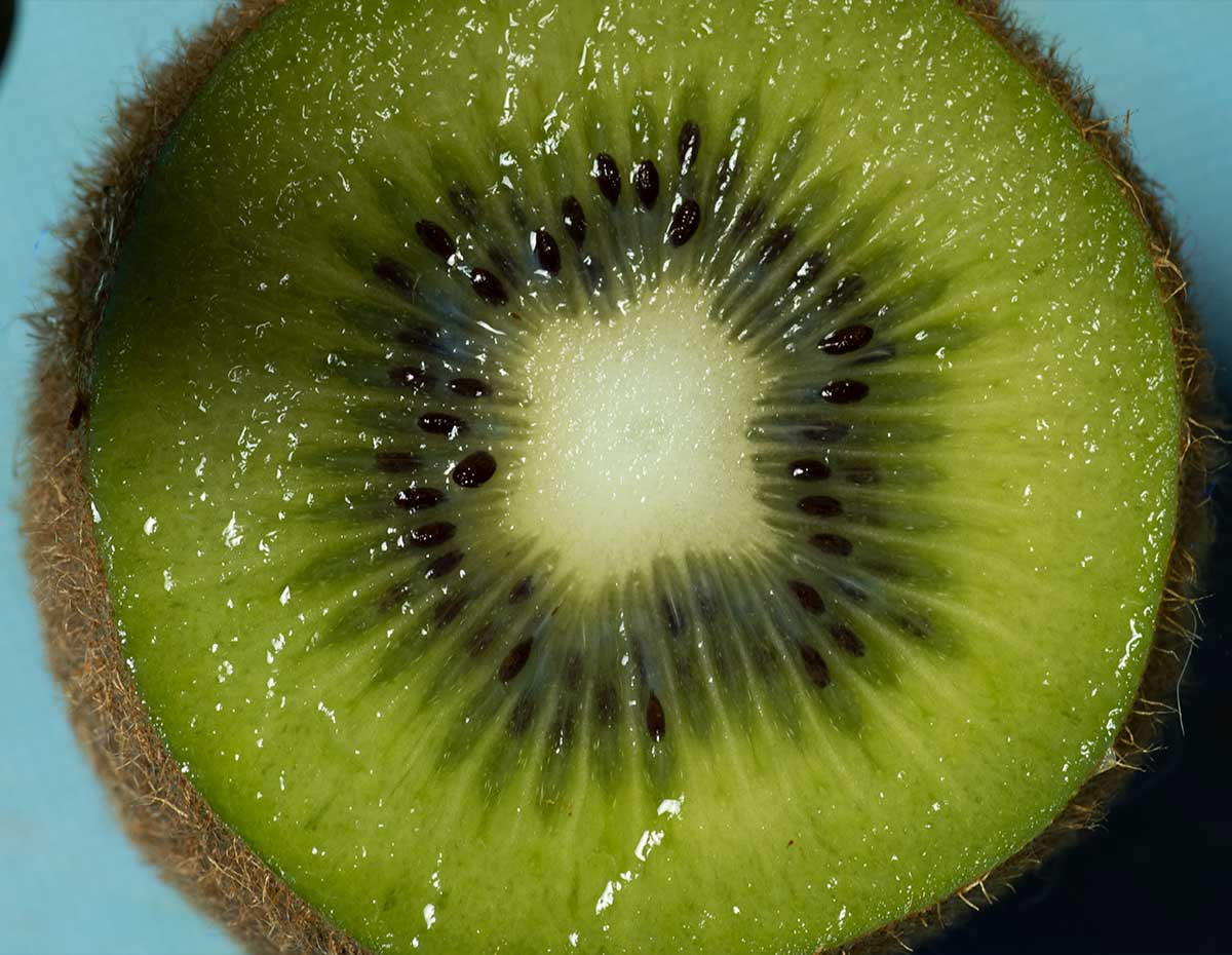 kiwi fruit