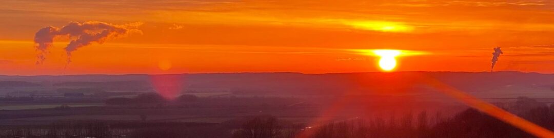 adaptalux Roundup - Sam granger