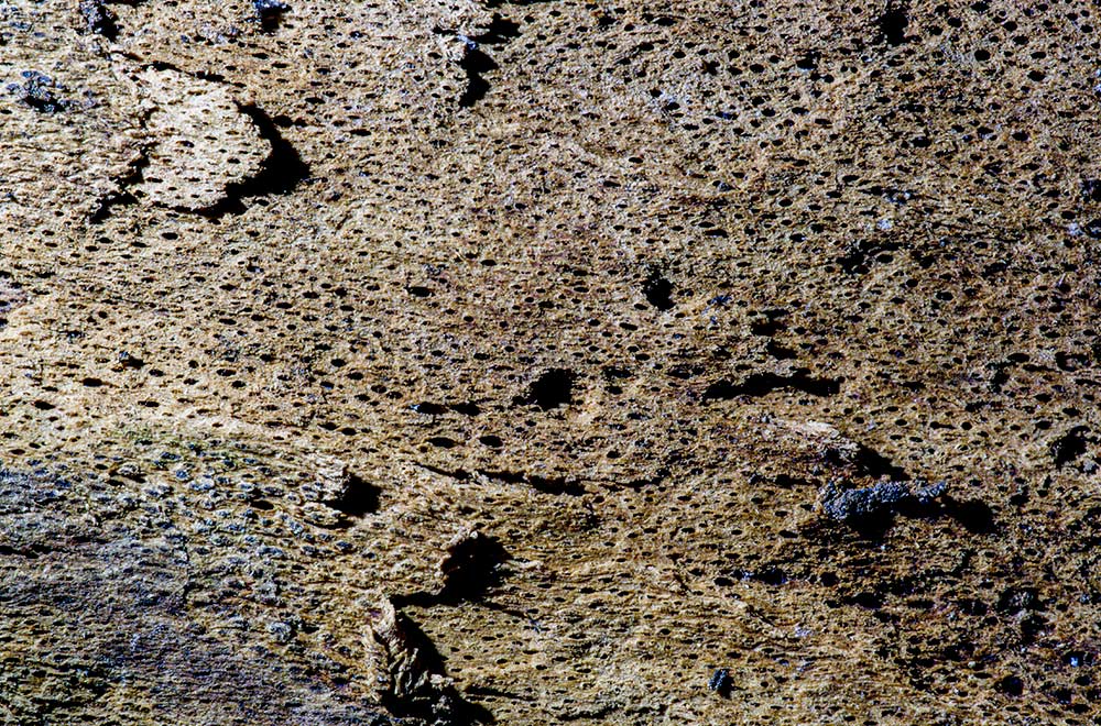 wood texture photography