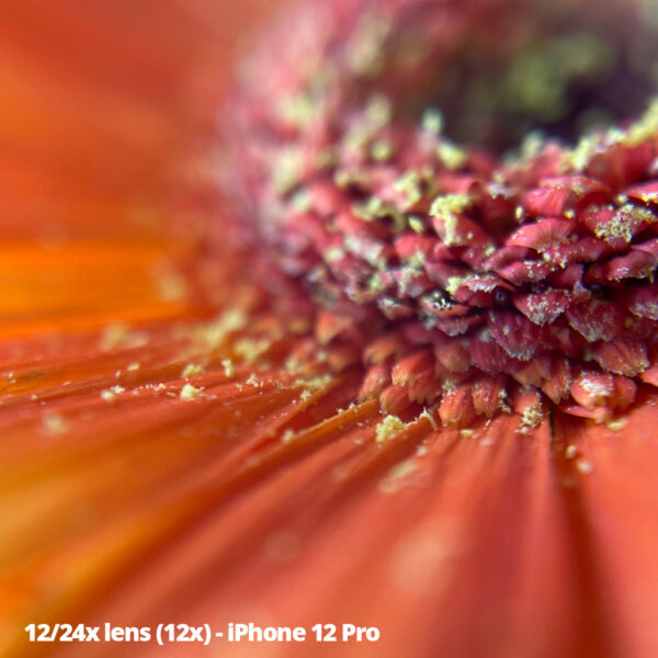 Apexel 12/24x mobile phone macro lens