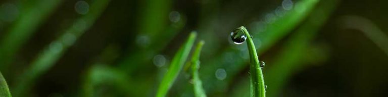 adaptalux macro flash update