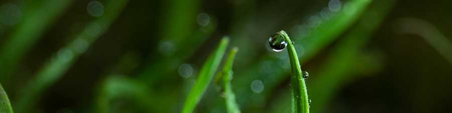 adaptalux macro flash update