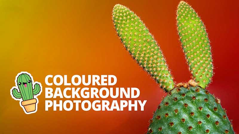 Coloured background photography tutorial - Colourful product photography