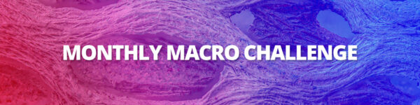 Macro Photography Challenge