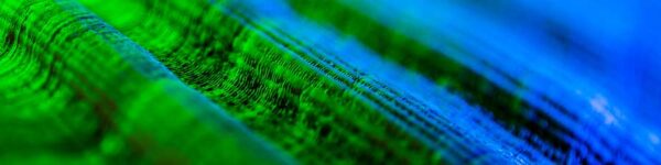 seashell macro photography tutorial