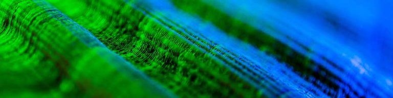 seashell macro photography tutorial