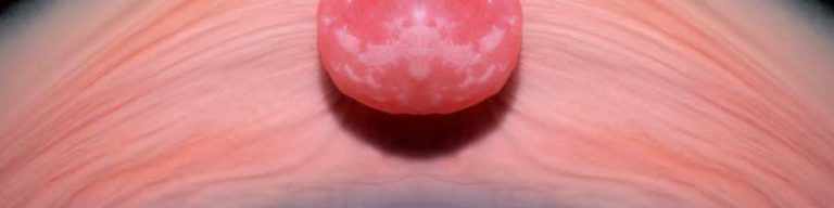 Dissolving candy time lapse videos