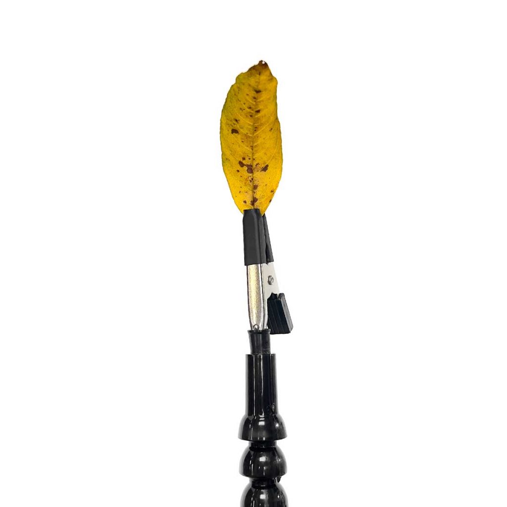 Macro subject holder