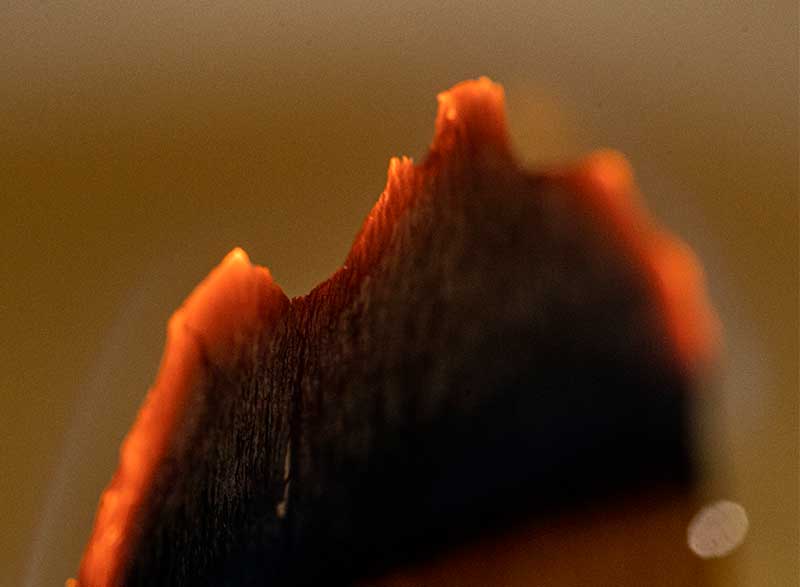 embers on wood close up