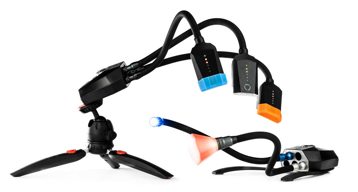 Adaptalux macro photography lighting system