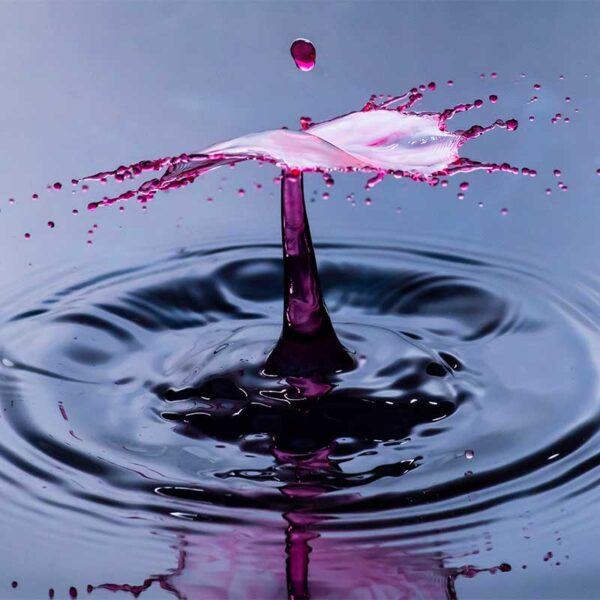Macro photography lighting for splash art