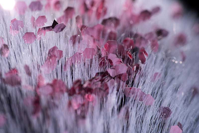 Pink glitter on a makeup brush