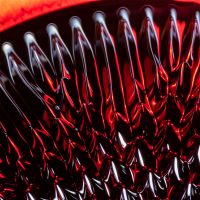 Macro photography lighting for abstract