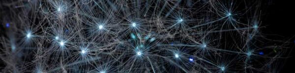 Ultraviolet Dandelion Photography