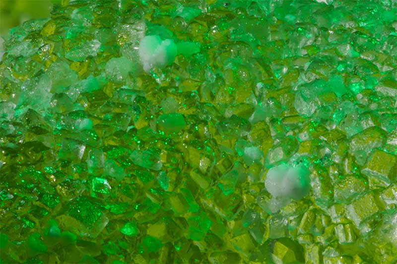 green candy macro photo