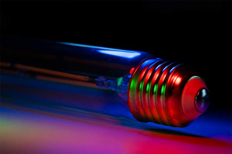 Lightbulb Macro Photography