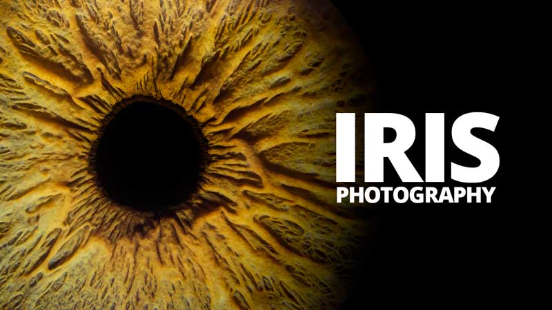 iris eye photography