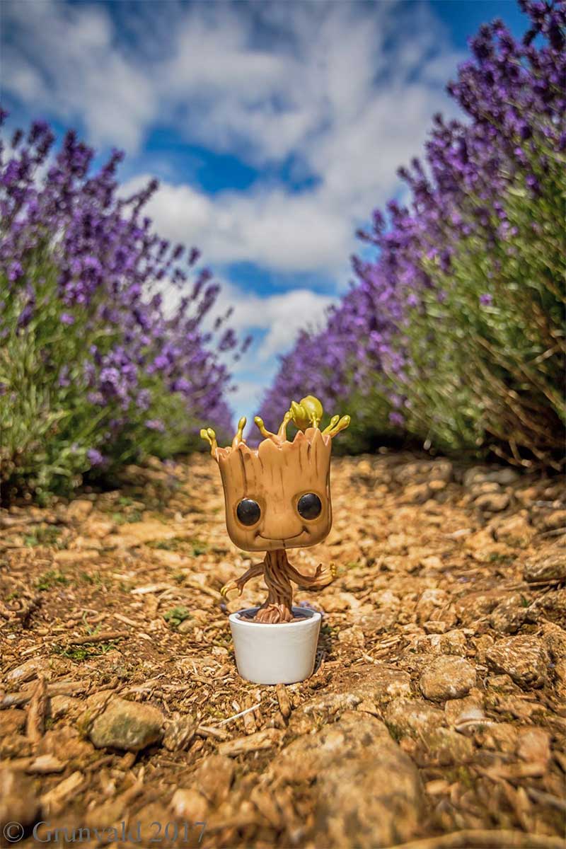 Groot toy photography