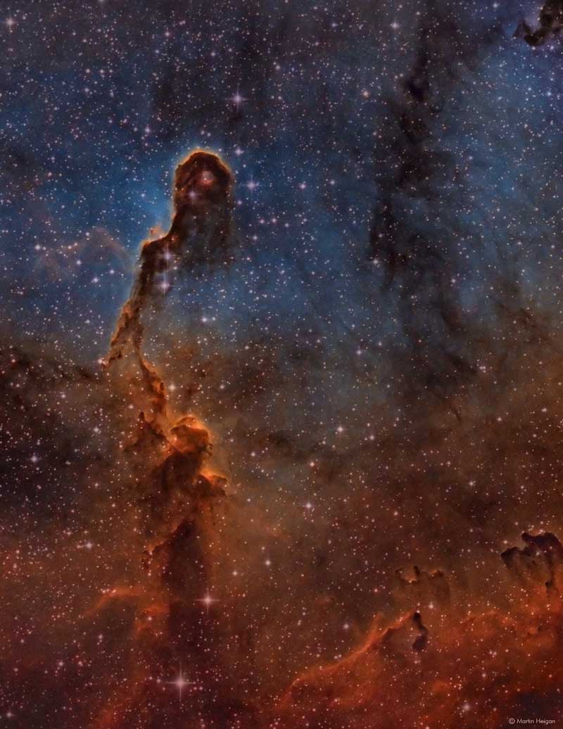 The Elephant's Trunk Nebula Martin Heigan Astrophotography