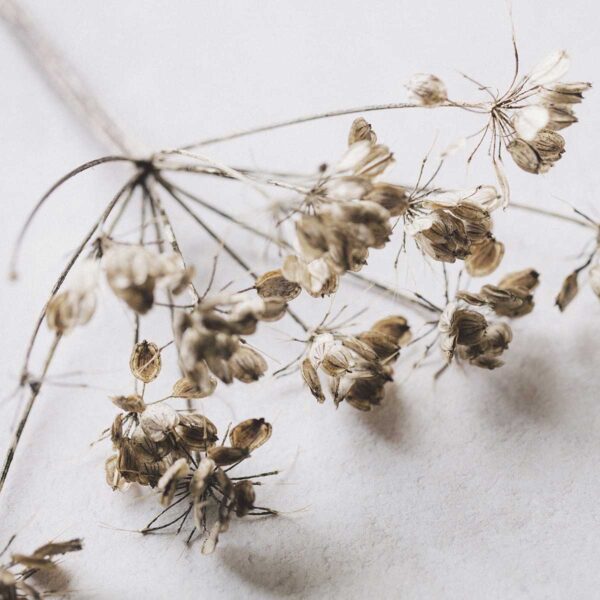 Merino - Photo Boards Photography Backdrop - Image 5