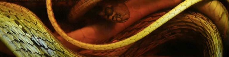 How to photograph macro subjects behind glass!