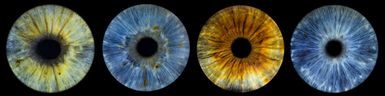 professional eye photography tutorial, how to photograph the eye