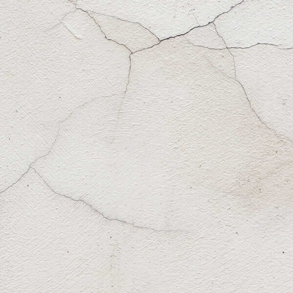 Roma - Photo Boards Photography Backdrop