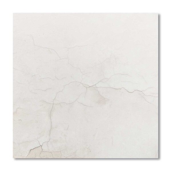 Roma - Photo Boards Photography Backdrop