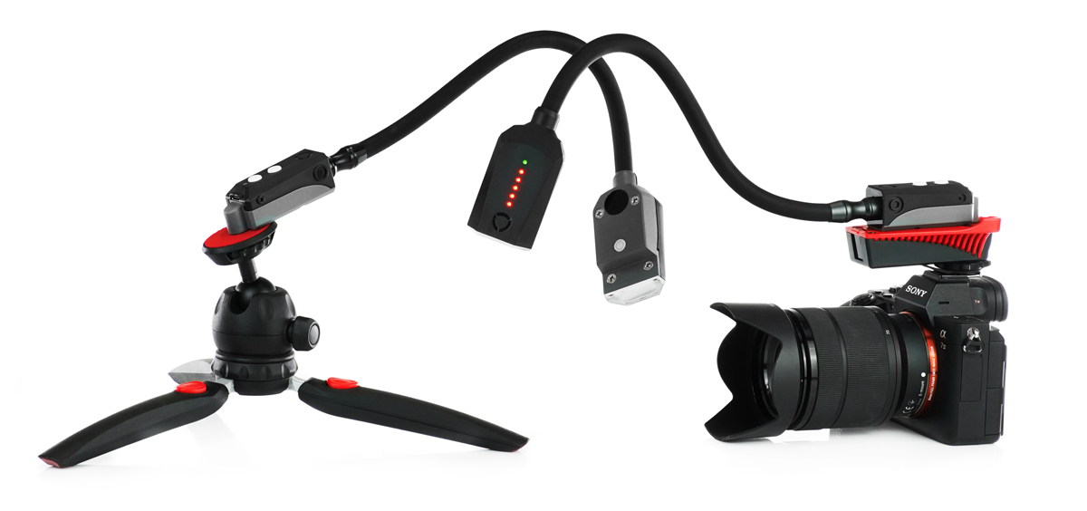 Pod-Mini-Flash-2 Adaptalux macro flash lighting setup