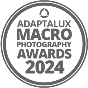 Adaptalux Macro Photography Awards