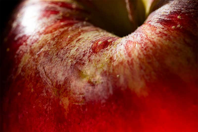 red-apple-close-up-example-2