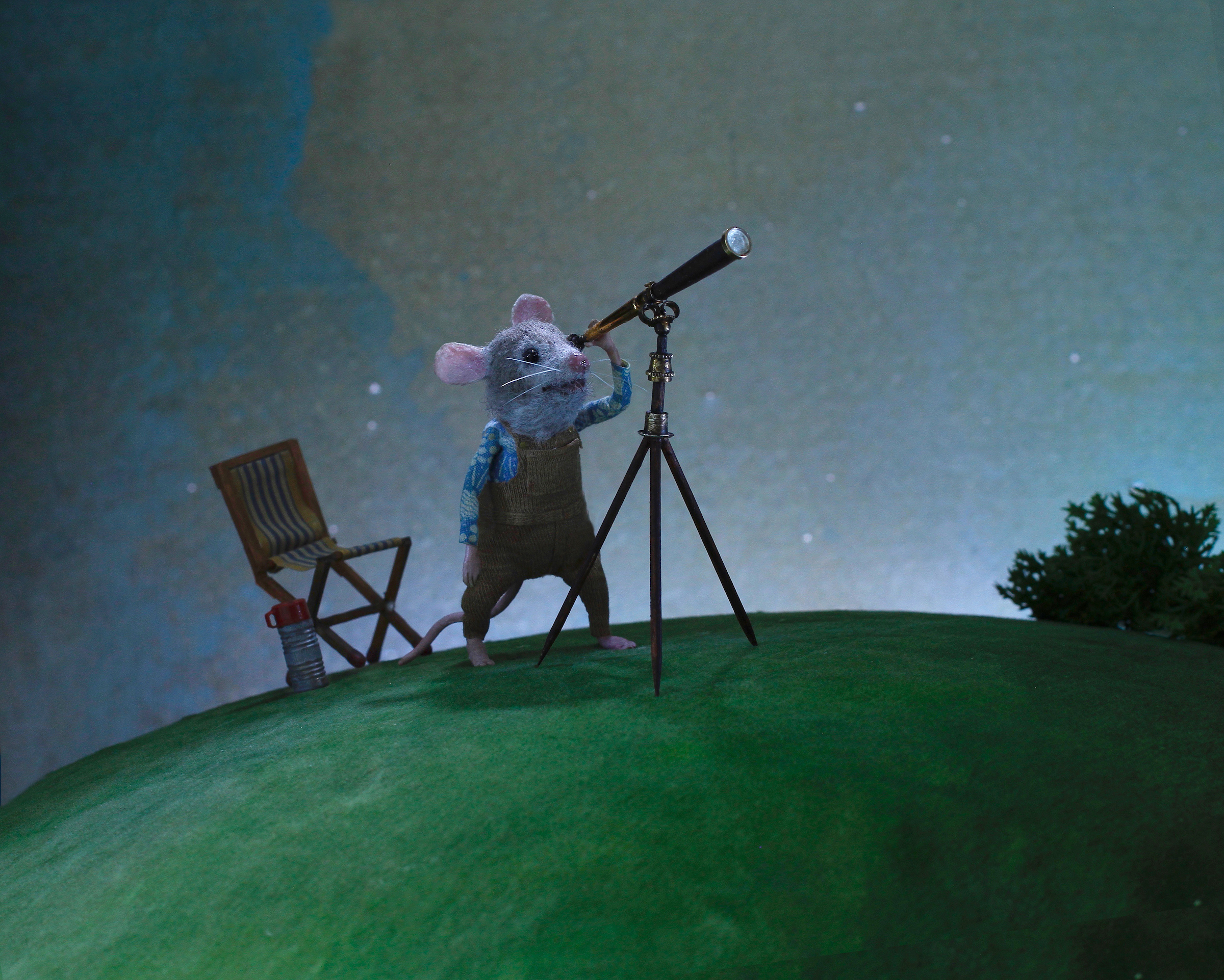 The Astronomer